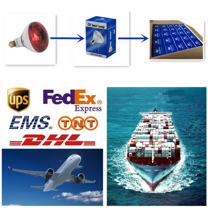 product-850-850 product-850-850