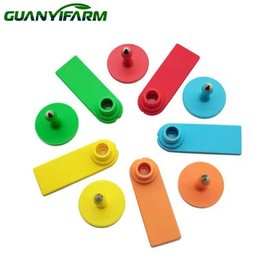 Clib Cluas TPU Ainmhithe