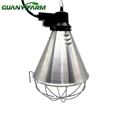 Frithchaiteoir Solais Infridhearg