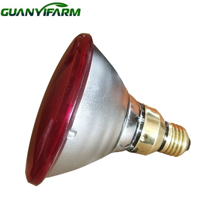 Ir Heat Bulb Ir Heat Bulb