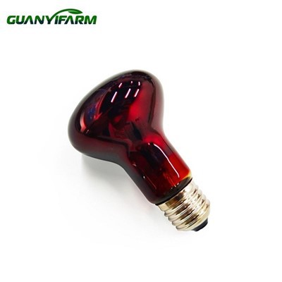 Bulb Reiptíle 150 Bhata