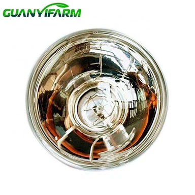 Lampa Teasa Seomra Folctha