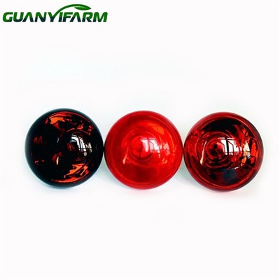 Bolgáin Teasa is Fearr Do Chicks