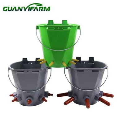 Buicéad beathú lao