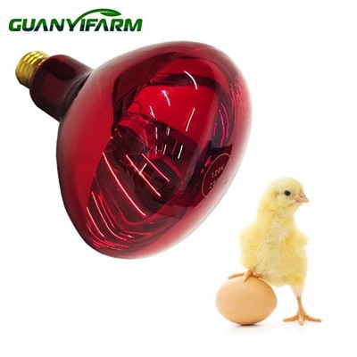 Lampa Teas Infridhearg Éanlaithe